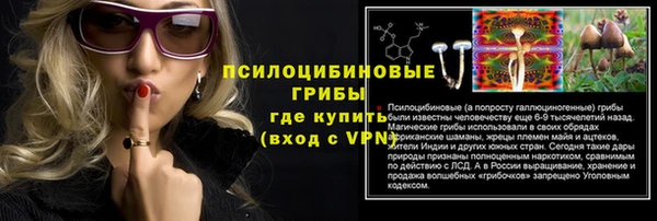 меф Новодвинск