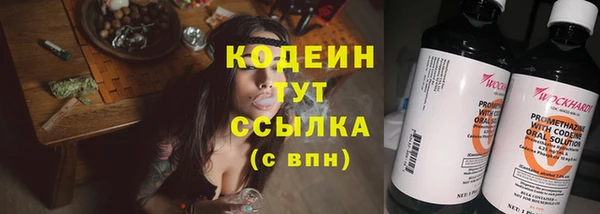 таблы Гусев