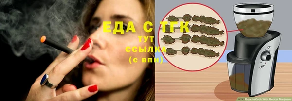 таблы Гусев