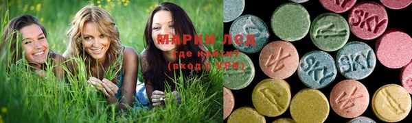 дурь Гусиноозёрск