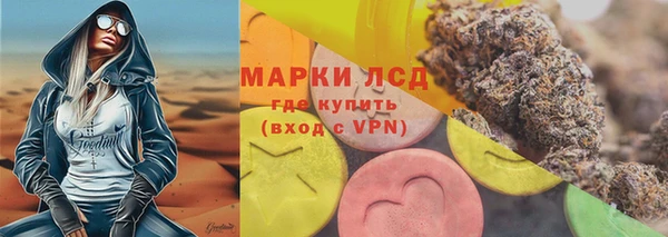 таблы Гусев