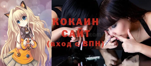 таблы Гусев