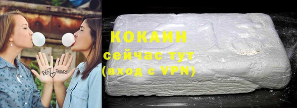 таблы Гусев